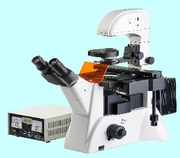 ZC- XDY-2倒置荧光显微镜