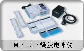 MiniRun凝膠電泳儀