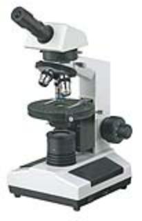 偏光显微镜