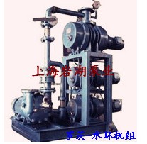羅茨-水環(huán)真空泵機組系列
