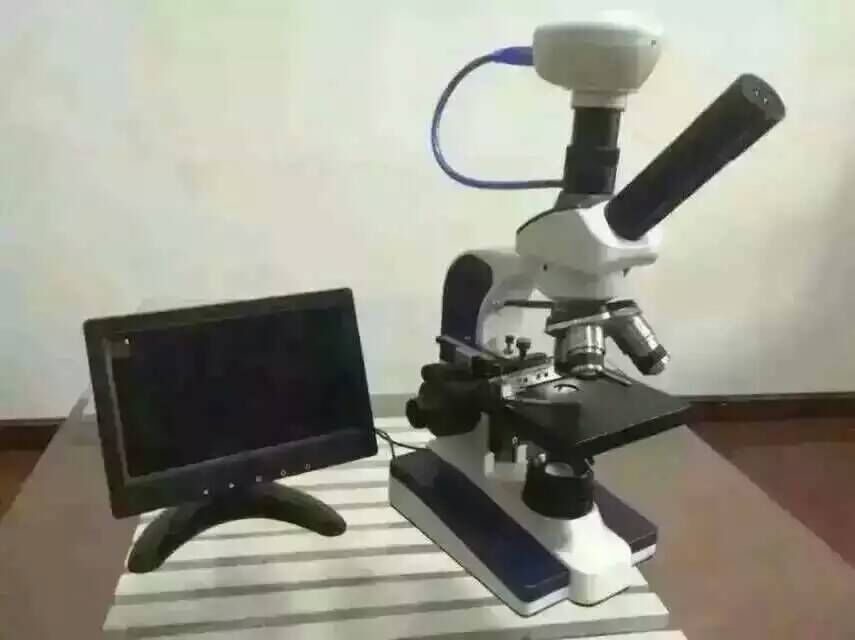 新达启帆数码显微镜
