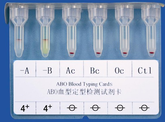 抗A抗B 血型定型试剂