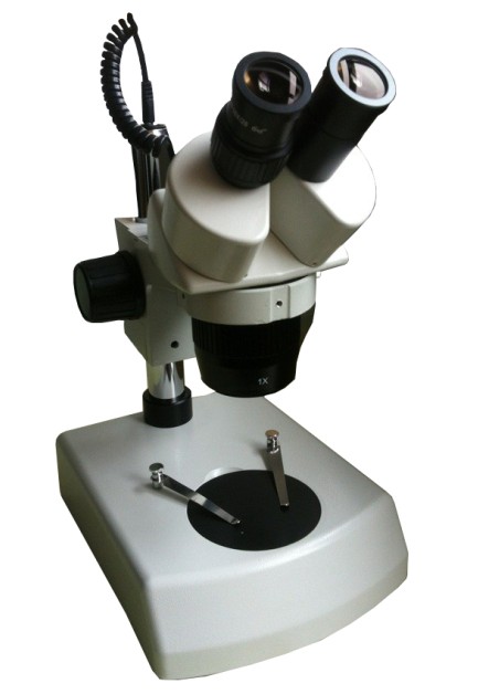 体视显微镜ST60