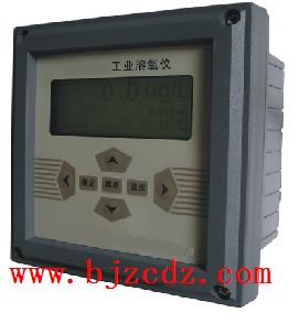 工業(yè)溶氧儀中文型)