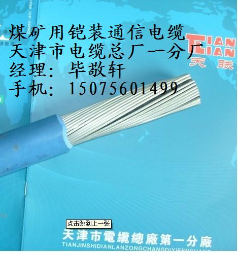 雙絞雙屏蔽計算機電纜DJYVPVP6x2x1.0熱線