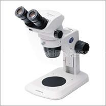 SZ61SZ51体视显微镜