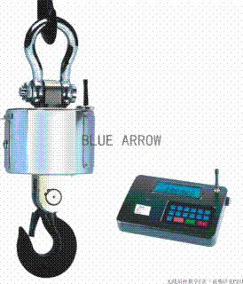 5吨吊钩秤行车秤