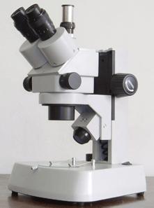体视显微镜-华乃尔