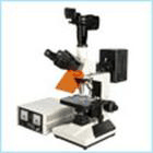 荧光显微镜 数码型荧光显微镜 生物荧光显微镜