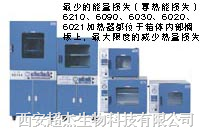 真空干燥箱-微電腦控制