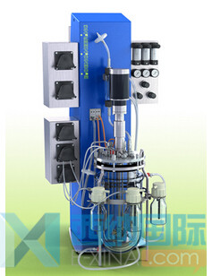 瑞士比歐Bioengineering發(fā)酵罐NLF型