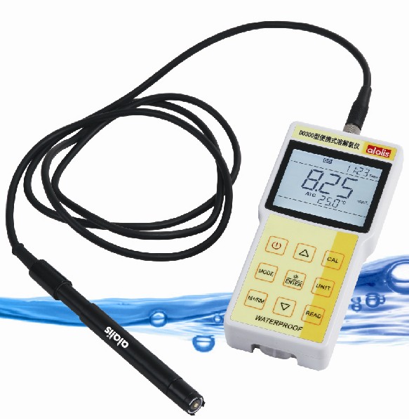 DO300型溶解氧仪