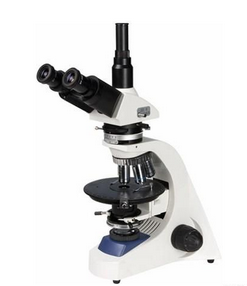 LW300-48LPT透射偏光显微镜