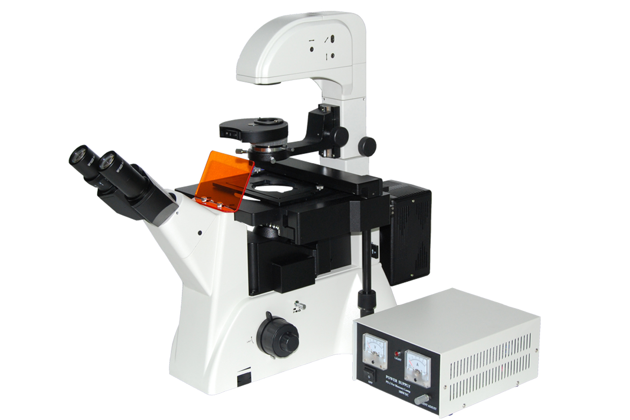 XDY-2倒置荧光显微镜