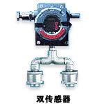 iTrans双探头传感器气体变送器