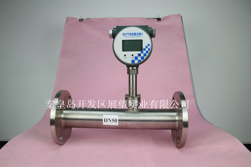 上海熱式氣體質(zhì)量流量計上海氣體流量計