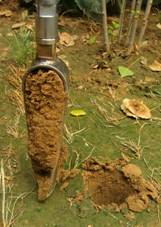 土壤采样器