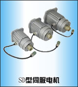 執(zhí)行器電機(jī) 電動執(zhí)行器電機(jī)