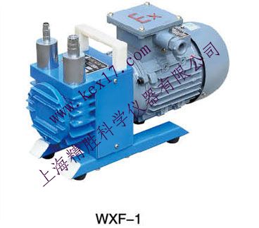 防爆型无油真空泵 无油防爆真空泵 无油旋片防爆真空泵WXF-1