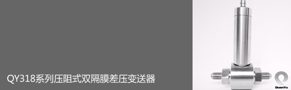 QY318系列壓阻式雙隔膜差壓變送器