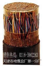 電力電纜 控制電纜 計算機電纜 電纜 電線 電線電纜DJVVR DJYPVRDJYPVPRDJYVPR