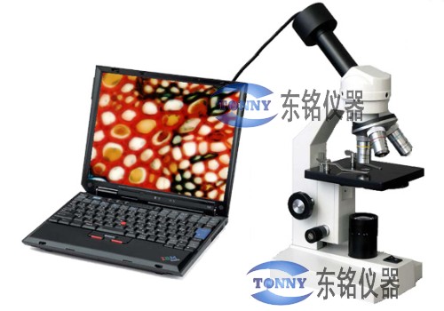 视频显微镜系统