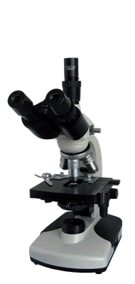偏光显微镜