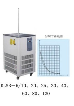 DLSB-5805L)低溫冷卻液循環(huán)泵