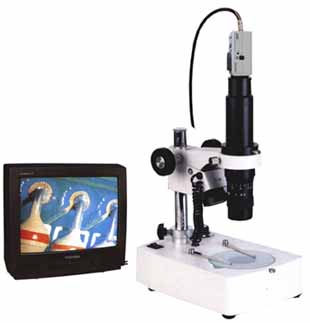 电子视频显微镜