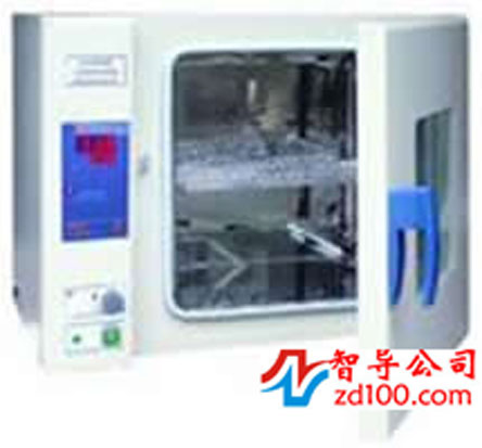 DH2500电热培养箱
