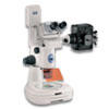 尼康SMZ-1500高端体视显微镜