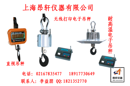 上海普通直视电子吊秤制造电子吊钩秤