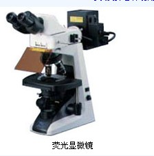 E200荧光显微镜