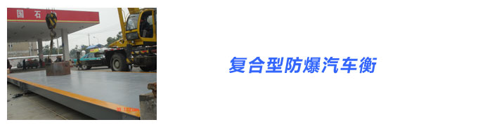 防爆汽车衡电子地磅电子大地磅