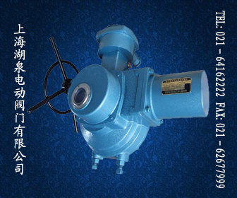 DQW系列部分回轉(zhuǎn)電動執(zhí)行器