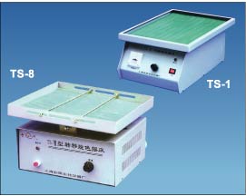 TS-1摇床/水平转移脱色摇床