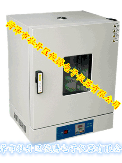 立式电热干燥箱101202系列