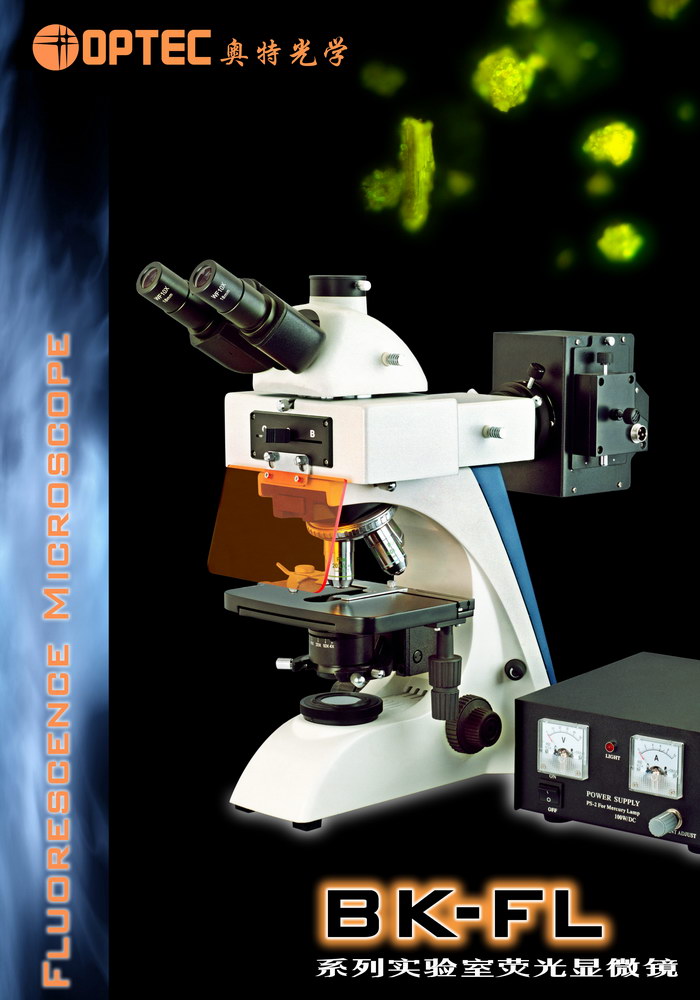 荧光显微镜BK-FL-天津荧光显微镜天津显微镜天津显微镜价格天津显微镜销售显微镜