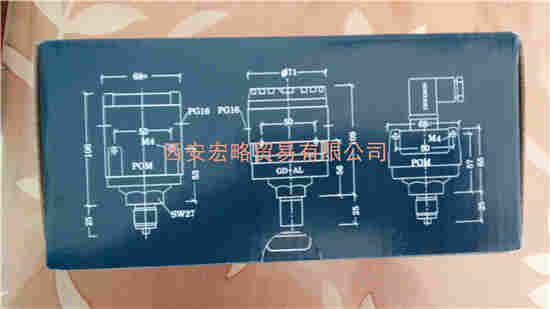 E+H北京壓力變送器P31