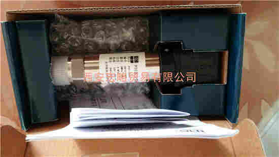 E+H北京壓力變送器P31