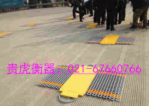 100吨汽车称重仪.jpg