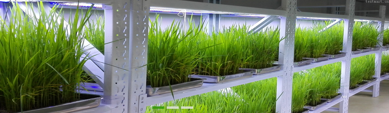 led冷光源人工气候室找宁波普朗特仪器-mrc-20lf-led-宁波普朗特仪器