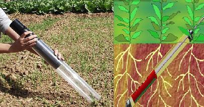 植物土壤根系生长动态监测系统活体根系分析