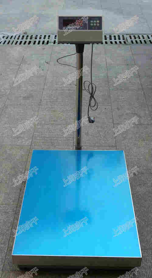计重台秤/称 计重台秤/称