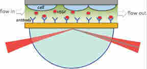 BI-4500系列高靈敏度表面等離子共振儀