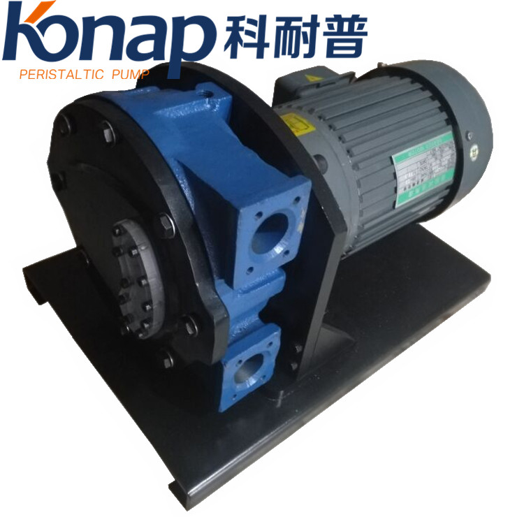 konap科耐普KNP10u型软管泵微型软管泵小型小流量软管泵厂家直销