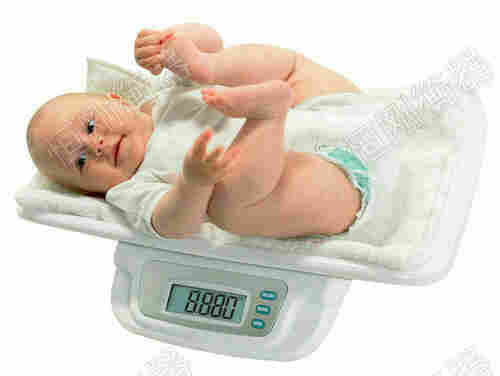 婴儿磅秤 婴儿磅秤