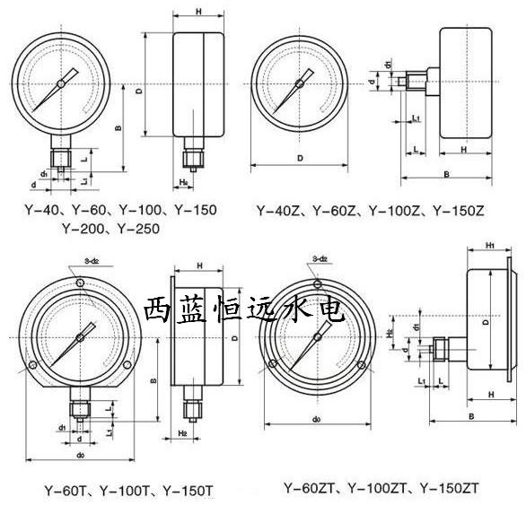 壓力表Y-100