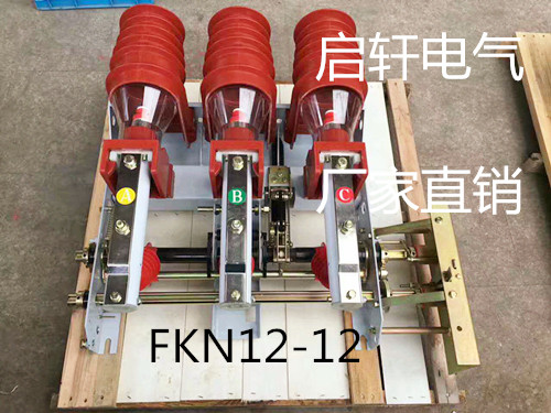 FKN12-12戶內(nèi)交流負(fù)荷開關(guān)