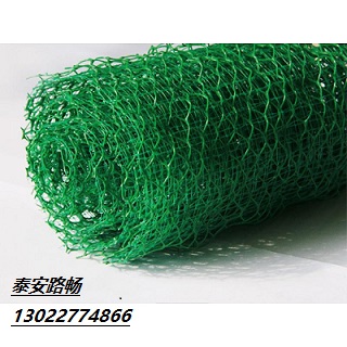 欢迎:徐州三维植被网生产商-:徐州三维网集团公司